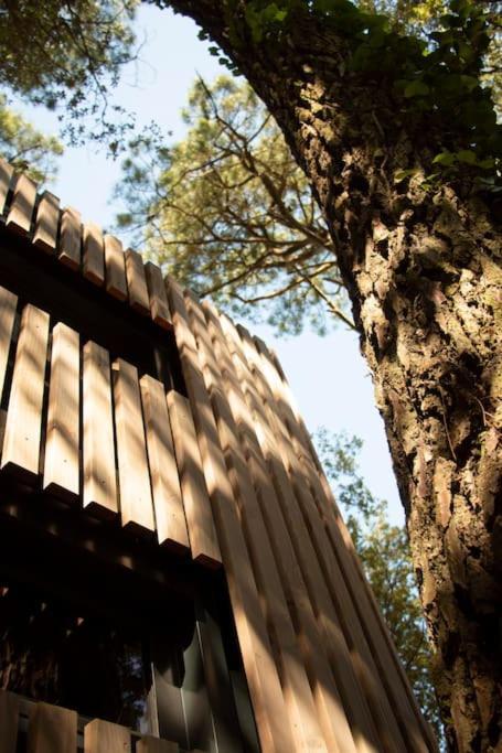 Vaimiti, Cabane Cosy Sous Les Pins Saint-Brévin-les-Pins Zewnętrze zdjęcie