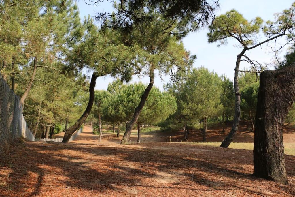Vaimiti, Cabane Cosy Sous Les Pins Saint-Brévin-les-Pins Zewnętrze zdjęcie